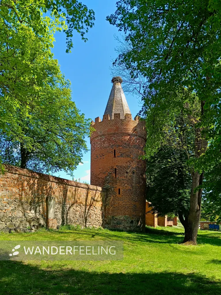 202605090-10 - Pulverturm und Stadtmauer in Angermünde, Uckermark, Brandenburg, Deutschland