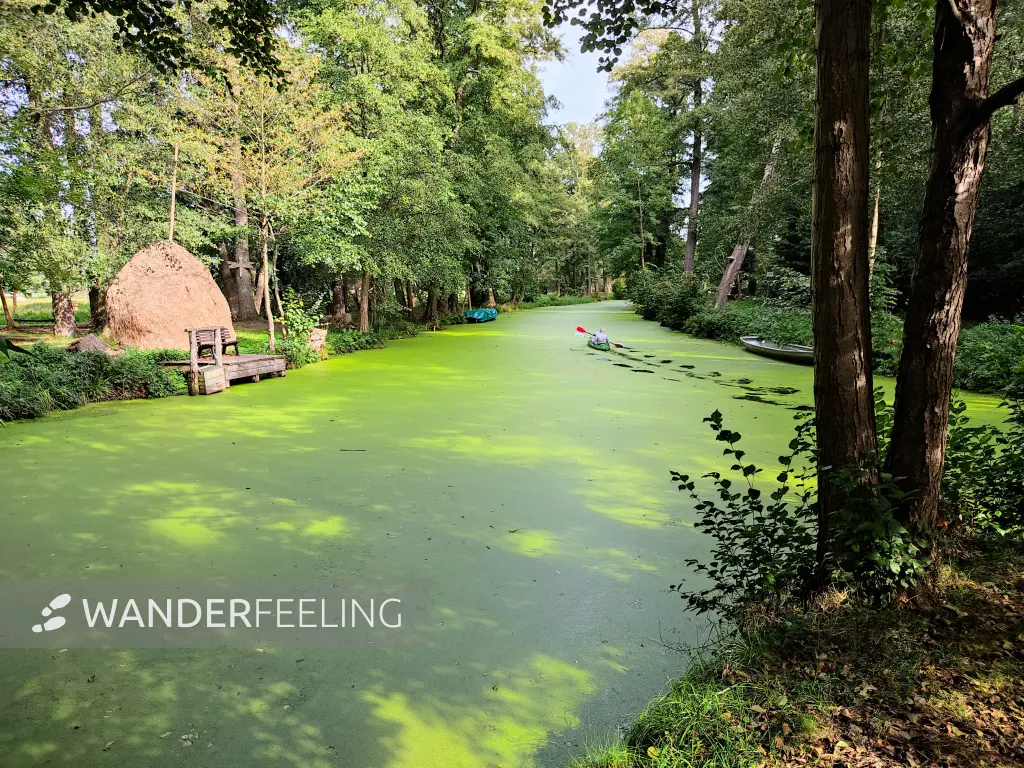 202310060-03 - Radduscher Kahnfahrt bei Raddusch, Spreewald, Brandenburg, Deutschand