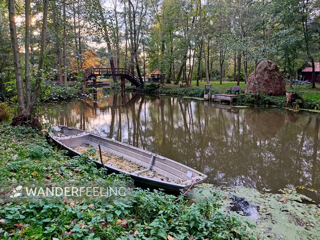 202311040-46 - Radduscher Kahnfahrt bei Raddusch, Spreewald, Brandenburg, Deutschland