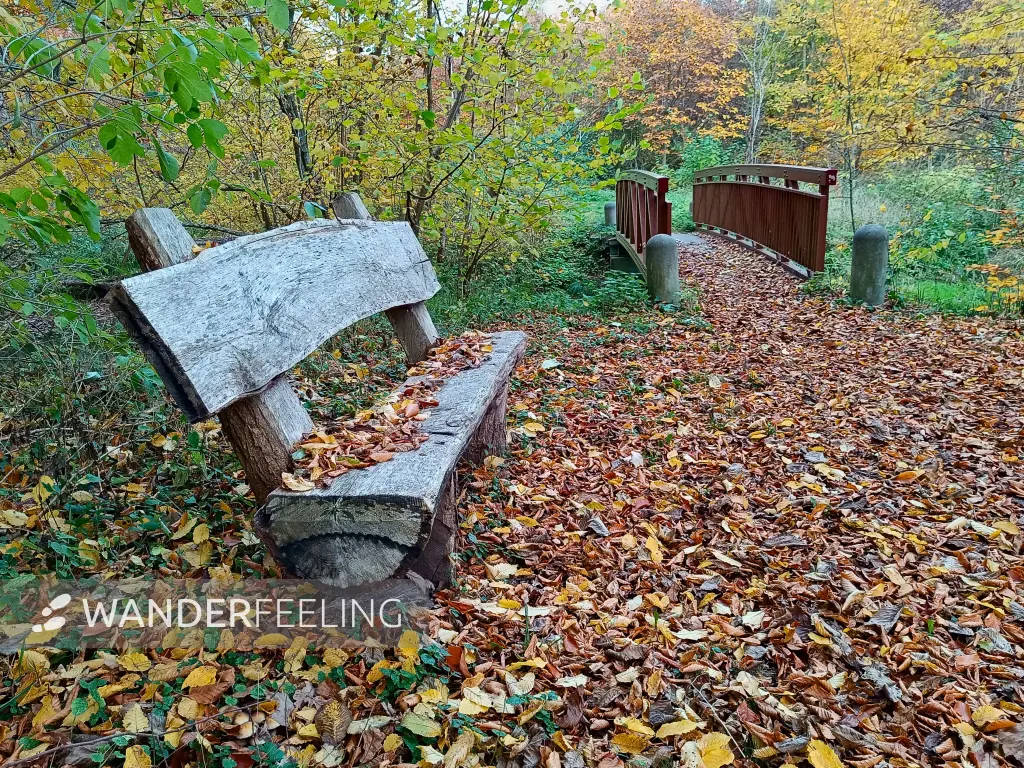 202511050-45 - Radebachtal bei Blankenberg, Mecklenburgische Seenplatte, Mecklenburg-Vorpommern, Deutschland