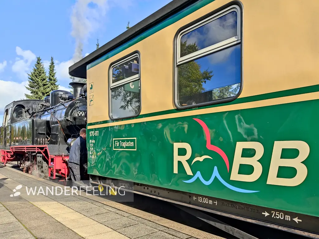 202310160-02 - »Rasender Roland« im Bahnhof von Putbus, Rügen, Mecklenburg-Vorpommern, Deutschland