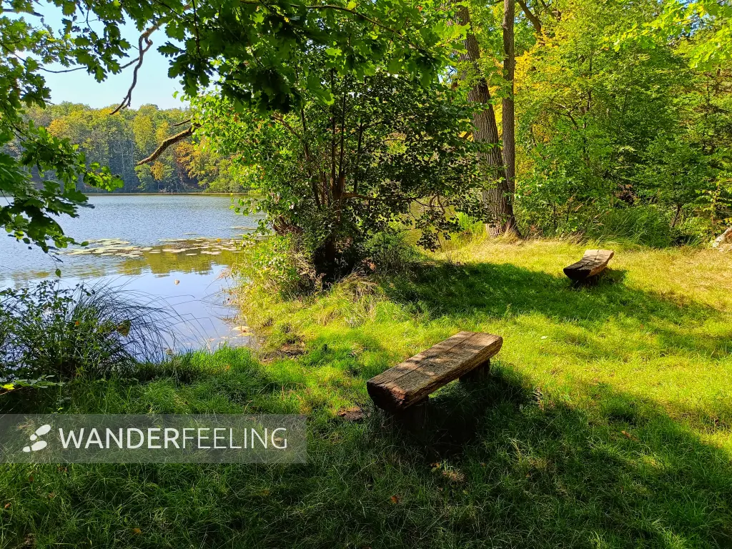 202508110-08 - Rastplatz am Böbereckensee bei Rheinsberg, Ruppiner Seenland, Brandenburg, Deutschland
