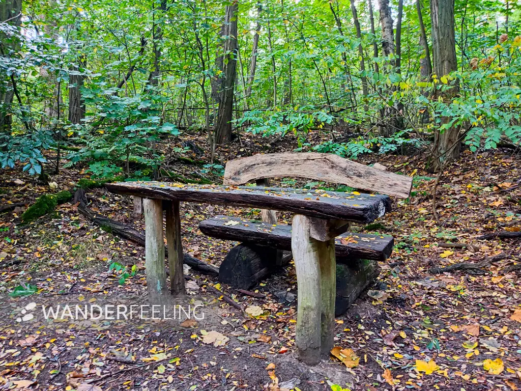 202310140-12 - Rastplatz im Erholungswald Ravensberge, Potsdam, Brandenburg, Deutschland