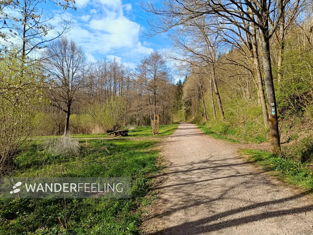 202604270-38 - Rastplatz Römerweiher bei Nettersheim, Eifel, Nordrhein-Westfalen, Deutschland