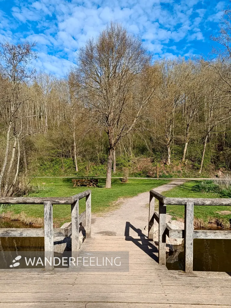 202604270-39 - Rastplatz Römerweiher bei Nettersheim, Eifel, Nordrhein-Westfalen, Deutschland