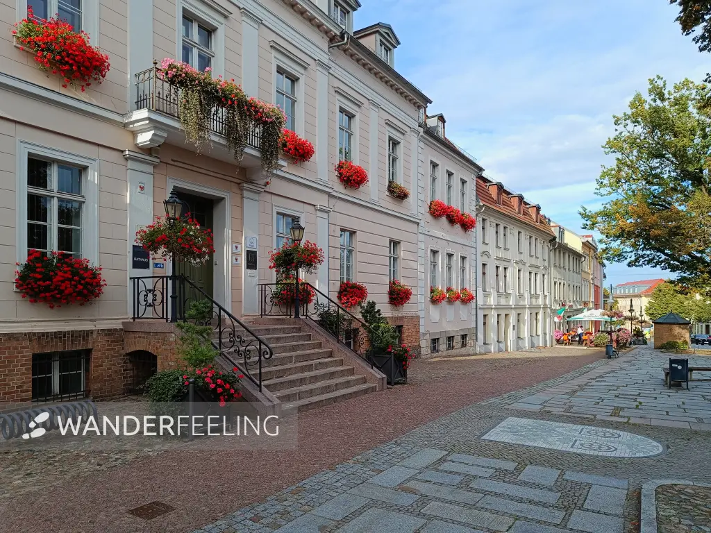 202609190-26 - Rathaus in Bad Freienwalde, Seenland Oder-Spree, Brandenburg, Deutschland