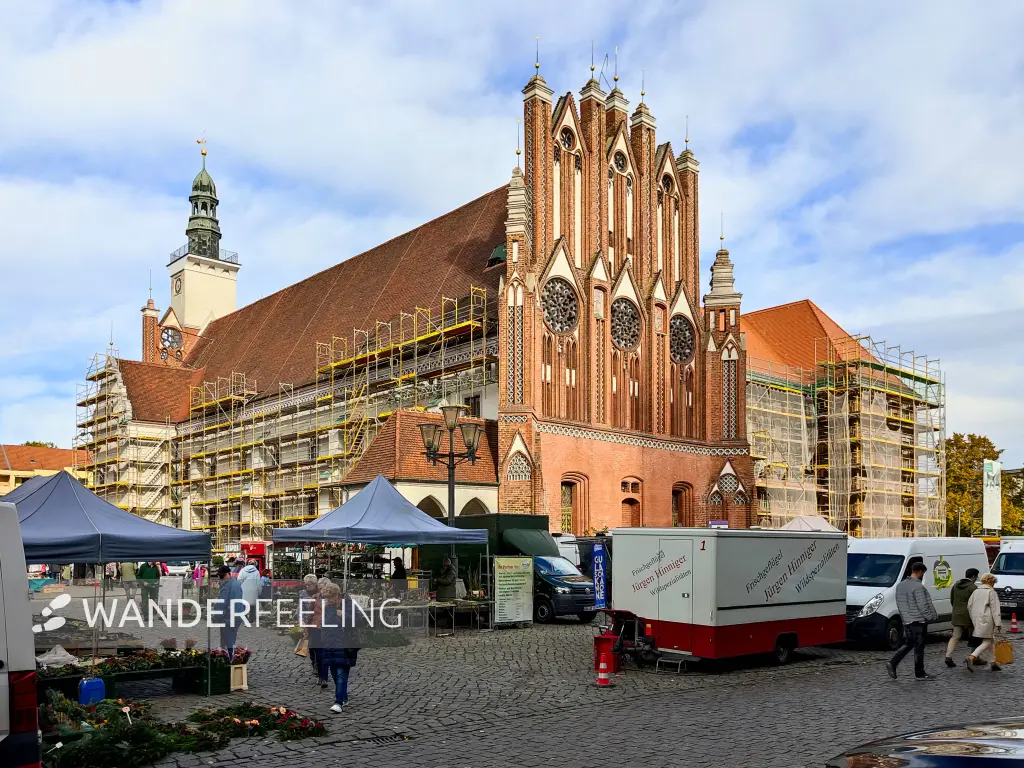 202311020-17 - Rathaus in Frankfurt (Oder), Seenland Oder-Spree, Brandenburg, Deutschland