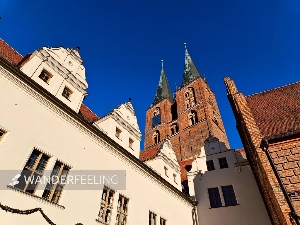 202511210-16 - Rathaus und Sankt Marien in Stendal, Altmark, Sachsen-Anhalt, Deutschland
