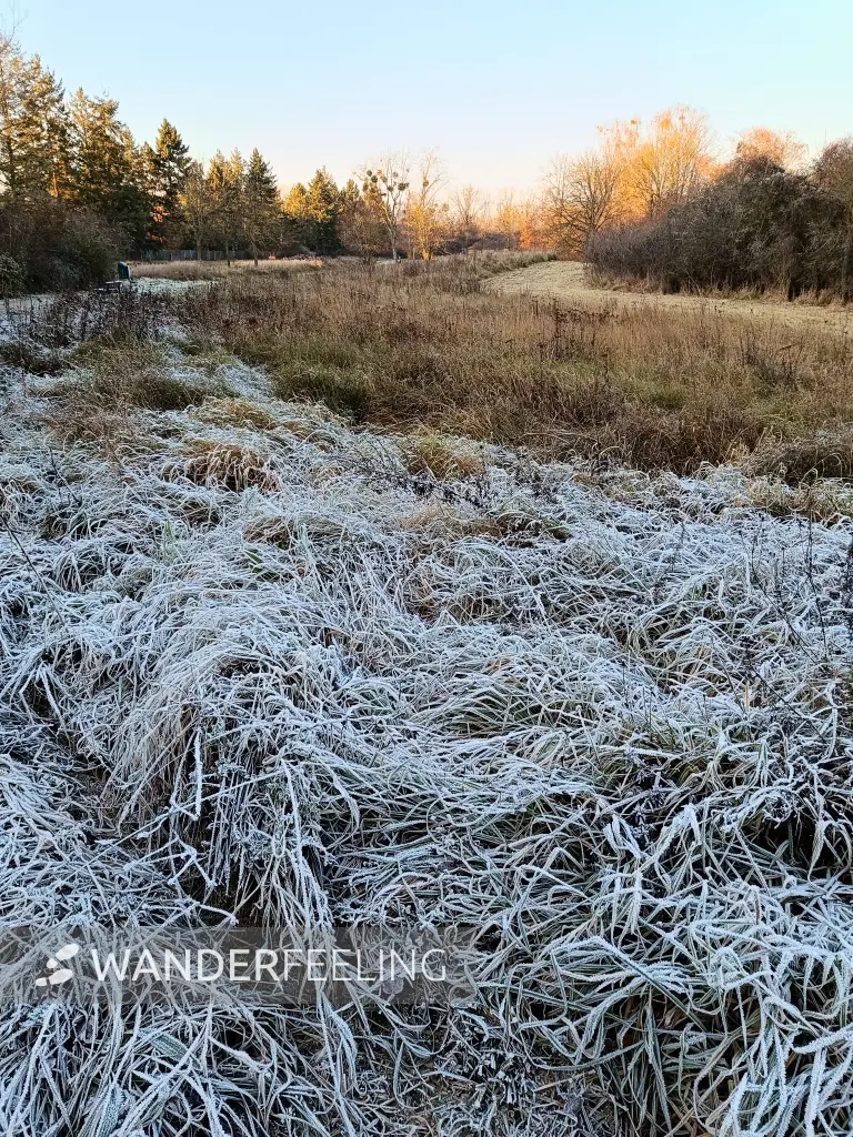 202511220-24 - Raureif in Marienfelde, Berlin, Deutschland