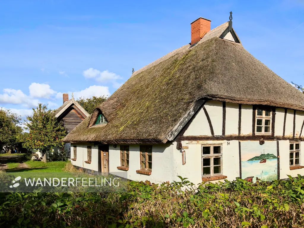 202310160-28 - Reetgedecktes Haus in Neuendorf, Rügen, Mecklenburg-Vorpommern, Deutschland