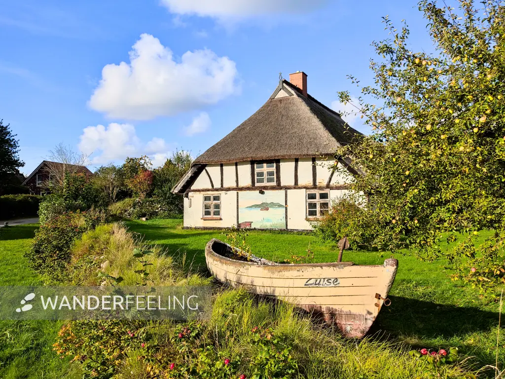202310160-29 - Reetgedecktes Haus in Neuendorf, Rügen, Mecklenburg-Vorpommern, Deutschland