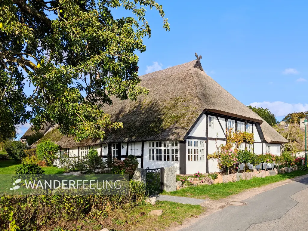 202310160-33 - Reetgedecktes Haus in Neuendorf, Rügen, Mecklenburg-Vorpommern, Deutschland