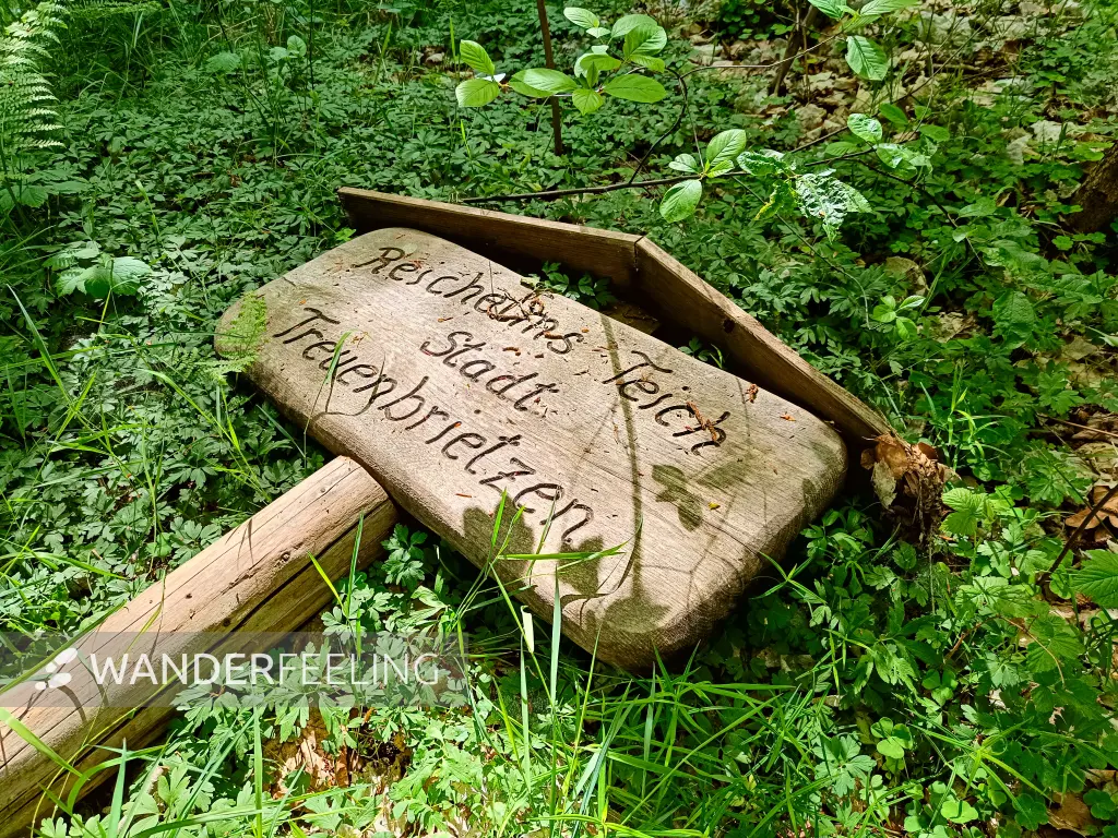 202505080-07 - Reichhelms-Teich bei Treuenbrietzen, Fläming, Brandenburg, Deutschland
