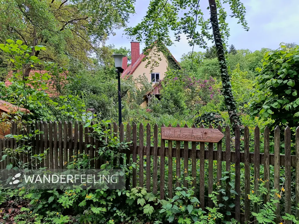 202605120-13 - Revierförsterei Dreilinden im Düppeler Forst, Berlin, Deutschland