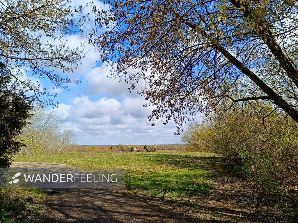 202604060-06 - Rodelberg im Freizeitpark Lübars, Berlin, Deutschland