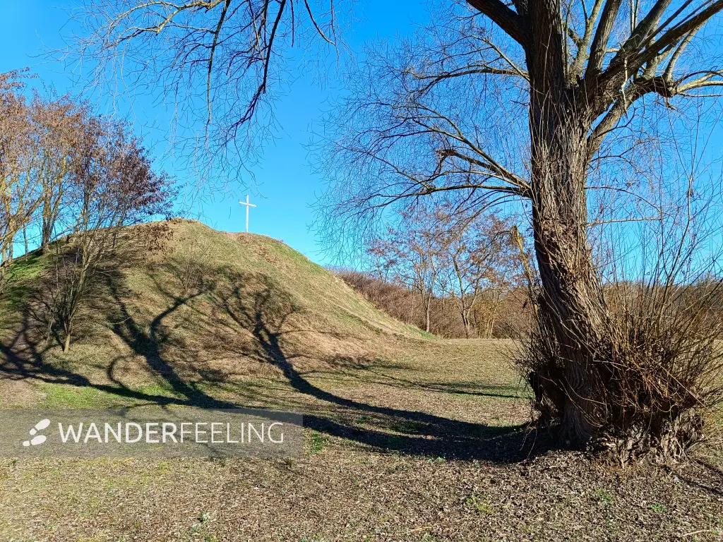 202603030-13 - Rodelberg in Dessau-Törten, Anhalt-Dessau-Wittenberg, Sachsen-Anhalt, Deutschland