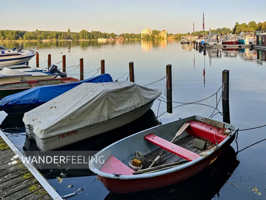 202309110-37 - Röblinsee bei Fürstenberg, Ruppiner Seenland, Brandenburg, Deutschland