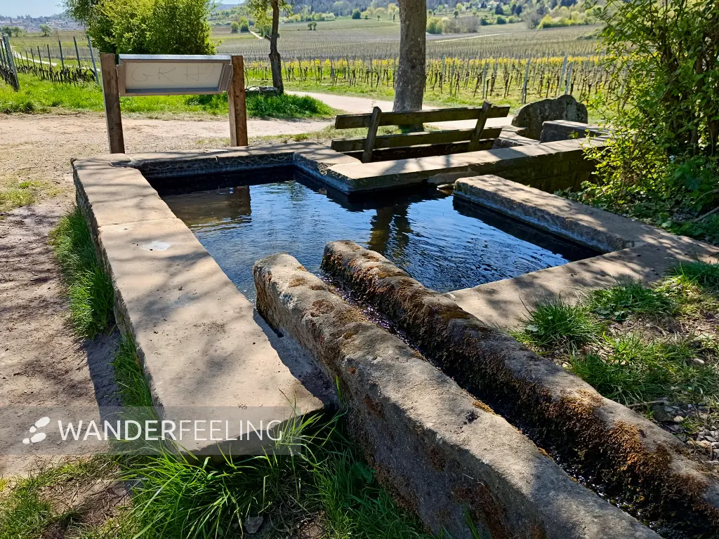 202504120-23 - Römische Wasserleitung am Annaberg bei Bad Dürkheim, Pfalz, Rheinland-Pfalz, Deutschland