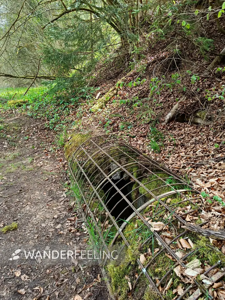 202604270-15 - Römische Wasserleitung bei Nettersheim, Eifel, Nordrhein-Westfalen, Deutschland