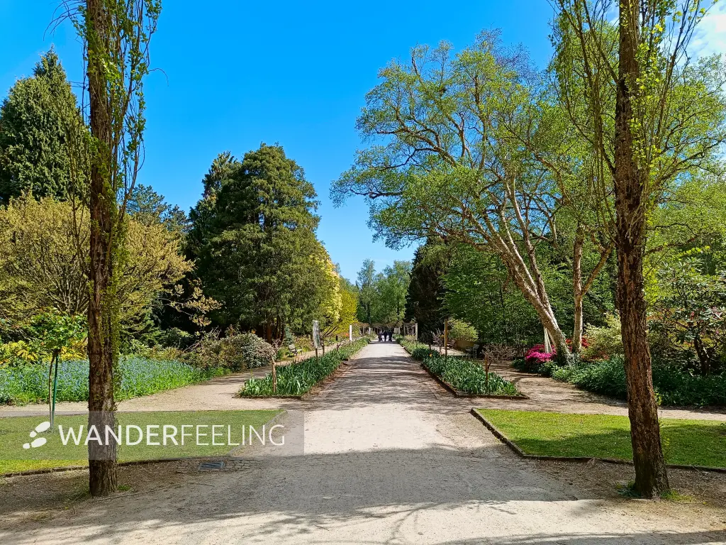 202604280-05 - Rombergpark in Dortmund, Ruhrgebiet, Nordrhein-Westfalen, Deutschland