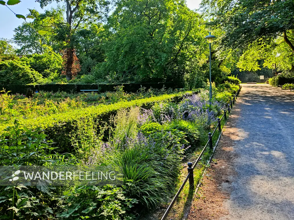 202306110-07 - Rosengarten im Stadtpark Steglitz, Berlin, Deutschland