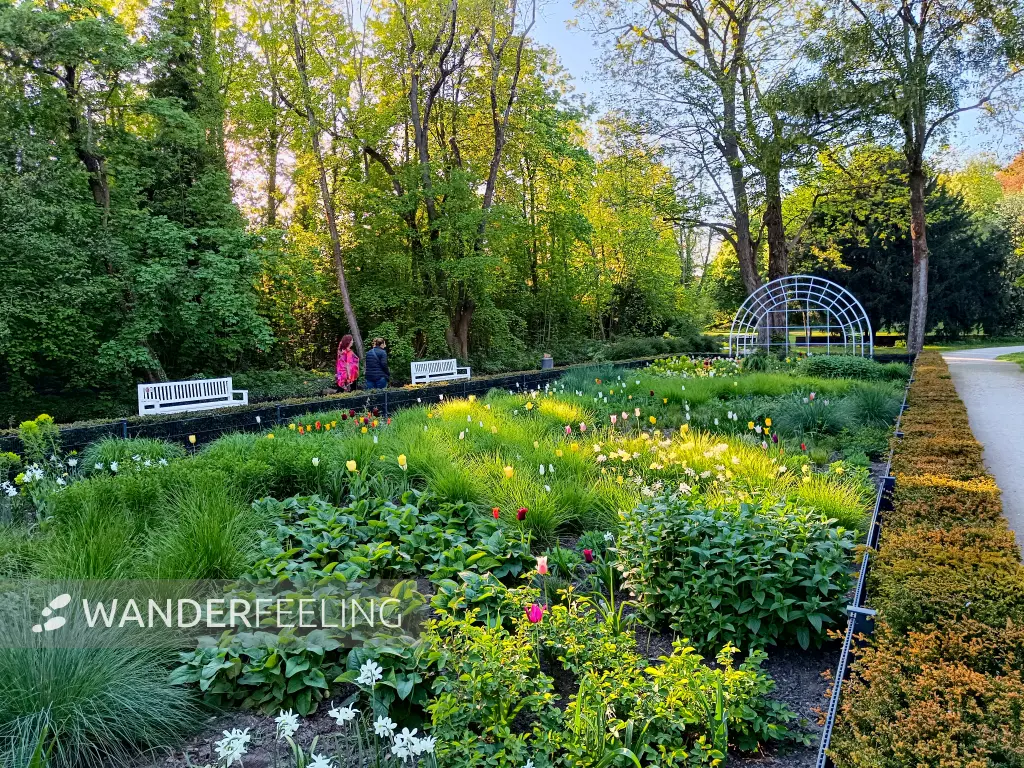 202604231-33 - Rosengarten in Neuss, Niederrhein, Nordrhein-Westfalen, Deutschland