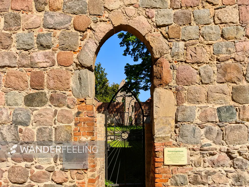 202309040-11 - Ruine im Kloster Lindow, Ruppiner Seenland, Brandenburg, Deutschland