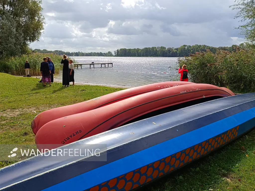 202609050-11 - Ruppiner See bei Gnewikow, Ruppiner Seenland, Brandenburg, Deutschland