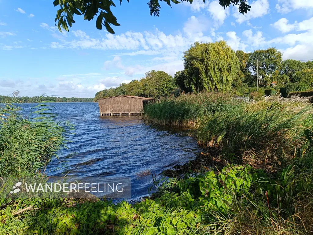 202609050-04 - Ruppiner See bei Karwe, Ruppiner Seenland, Brandenburg, Deutschland