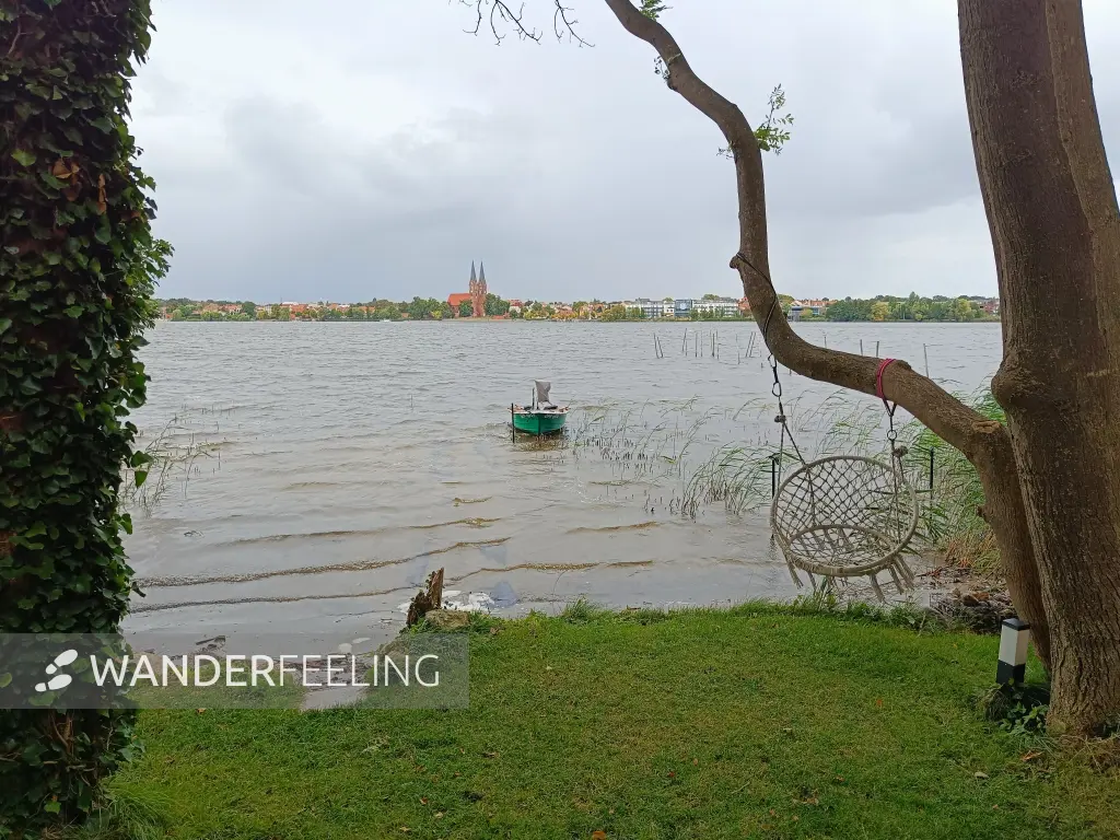 202609050-19 - Ruppiner See bei Neuruppin, Ruppiner Seenland, Brandenburg, Deutschland