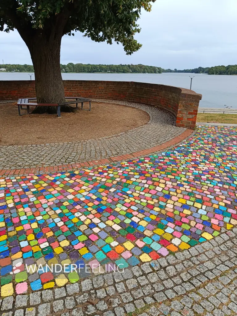 202609050-26 - Ruppiner See bei Neuruppin, Ruppiner Seenland, Brandenburg, Deutschland