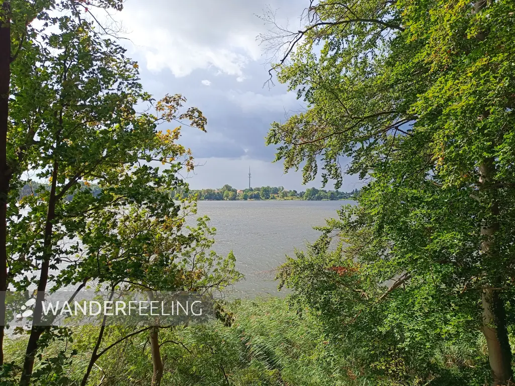 202609050-14 - Ruppiner See bei Wuthenow, Ruppiner Seenland, Brandenburg, Deutschland
