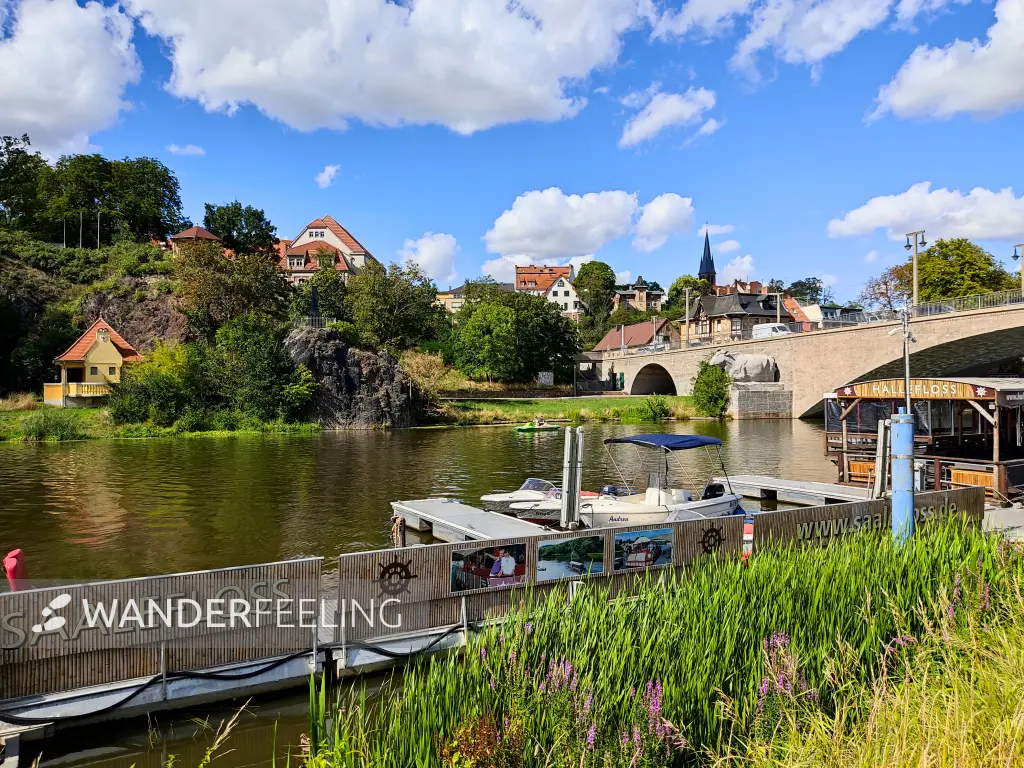 202308090-44 - Saale an der Giebichensteinbrücke in Halle, Sachsen-Anhalt, Deutschland