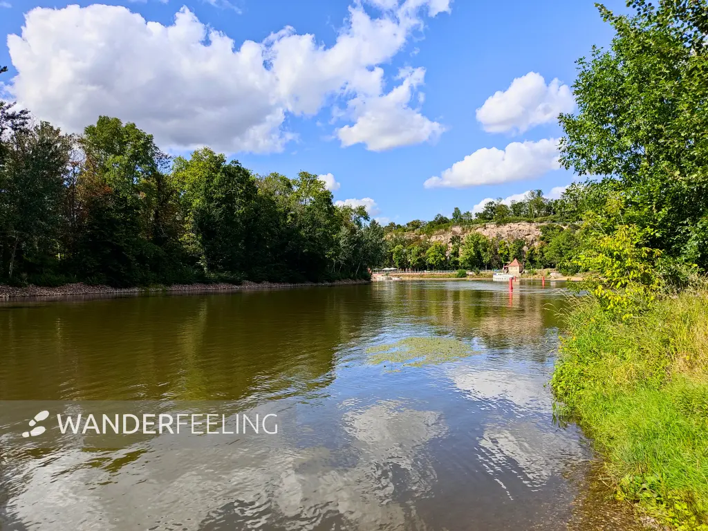 202308090-41 - Saale an der Ziegelwiese in Halle, Sachsen-Anhalt, Deutschland