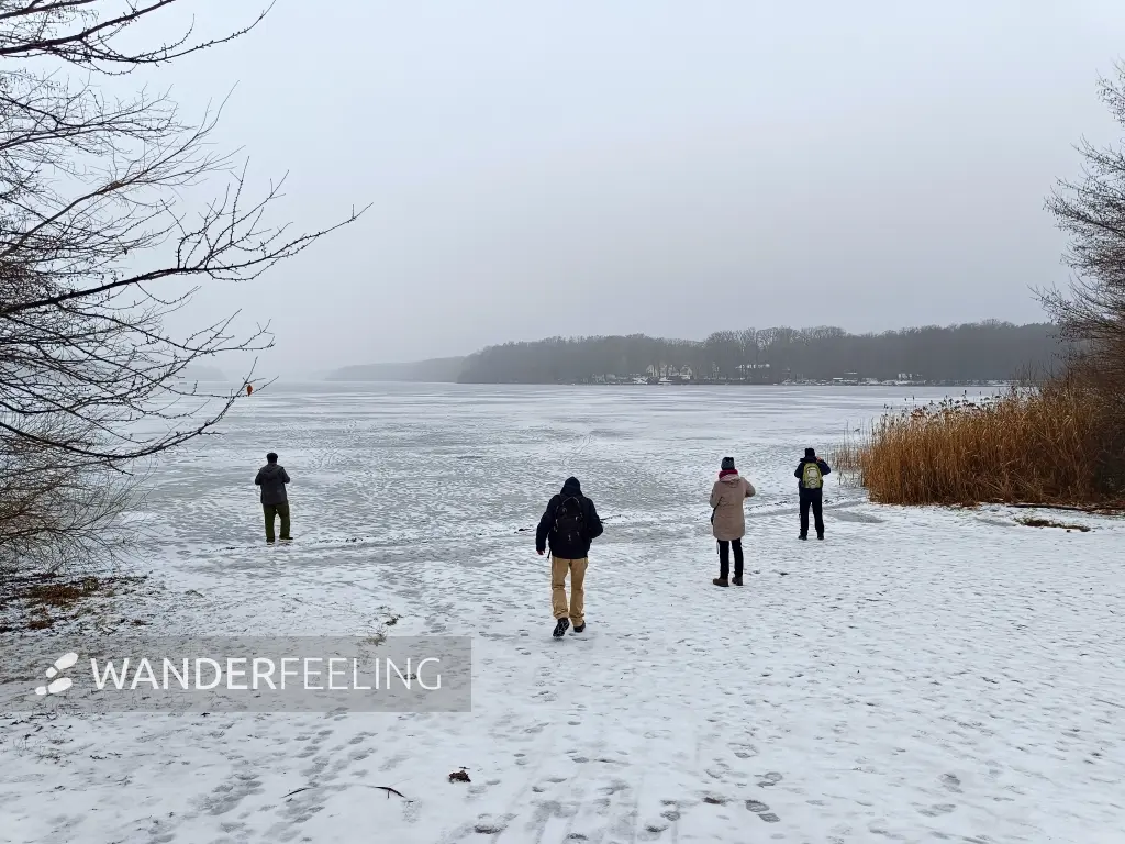 202602070-01 - Sacrower See im Winter, Potsdam, Brandenburg, Deutschland