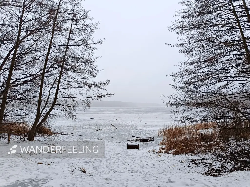 202602070-03 - Sacrower See im Winter, Potsdam, Brandenburg, Deutschland