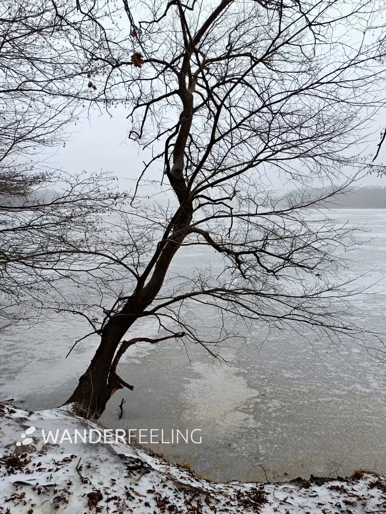 202602070-04 - Sacrower See im Winter, Potsdam, Brandenburg, Deutschland