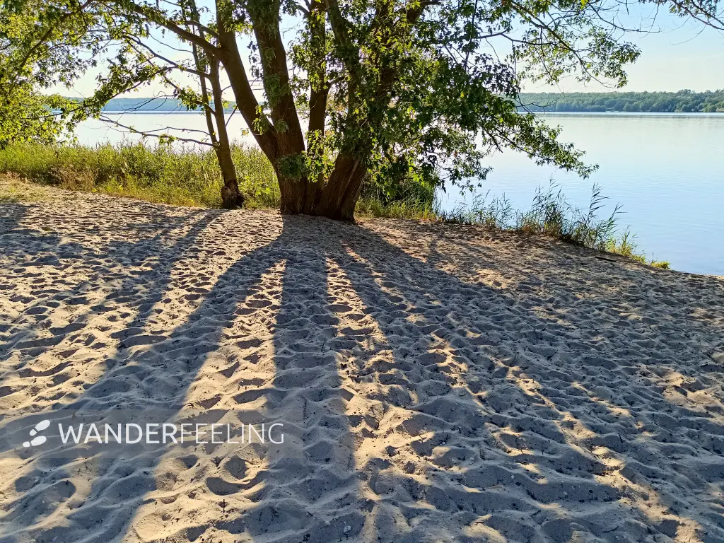 202408260-35 - Sandstrand am Bergwitzsee, Anhalt-Dessau-Wittenberg, Sachsen-Anhalt, Deutschland