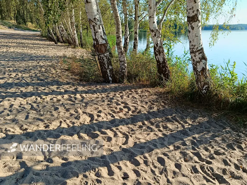 202408260-37 - Sandstrand am Bergwitzsee, Anhalt-Dessau-Wittenberg, Sachsen-Anhalt, Deutschland