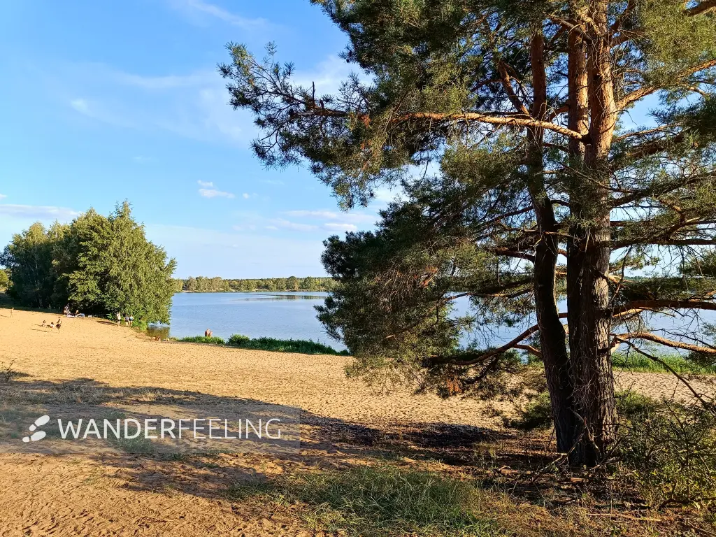 202408260-38 - Sandstrand am Bergwitzsee, Anhalt-Dessau-Wittenberg, Sachsen-Anhalt, Deutschland
