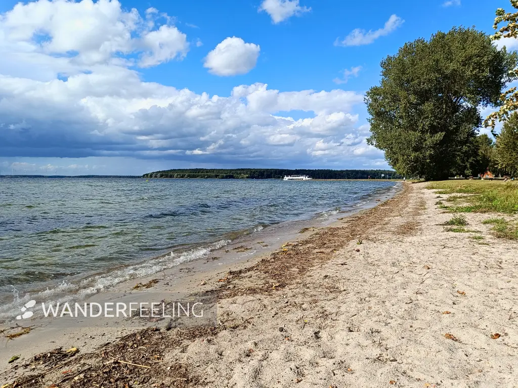 202509120-34 - Sandstrand am Plauer See bei Lenz, Mecklenburgische Seenplatte, Mecklenburg-Vorpommern, Deutschland