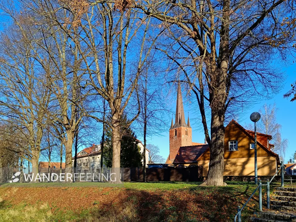 202511210-06 - Sankt Petri in Stendal, Altmark, Sachsen-Anhalt, Deutschland