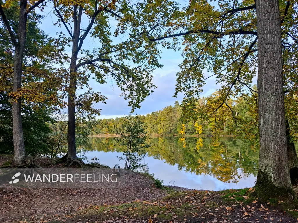 202310250-47 - Schampsee bei Kloster Lehnin, Fläming, Brandenburg, Deutschland