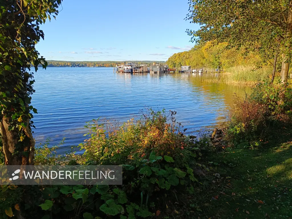 202610190-26 - Scharmützelsee am Cecilienpark in Bad Saarow, Seenland Oder-Spree, Brandenburg, Deutschland