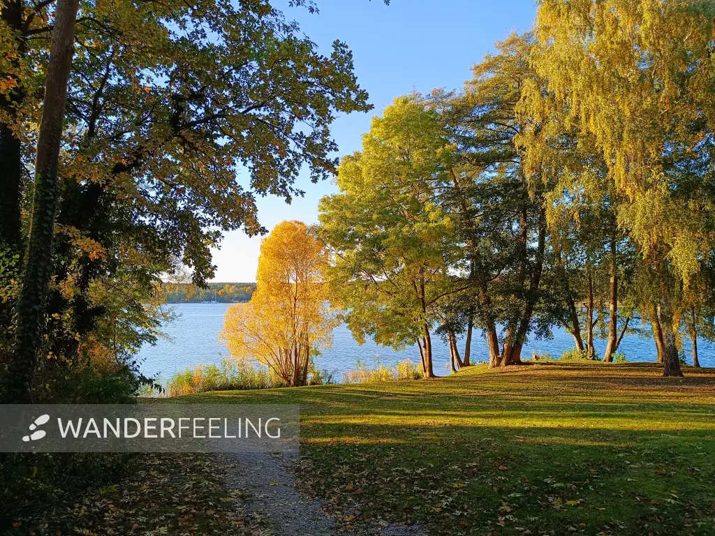 202610190-28 - Scharmützelsee am Platz am Stein in Bad Saarow, Seenland Oder-Spree, Brandenburg, Deutschland