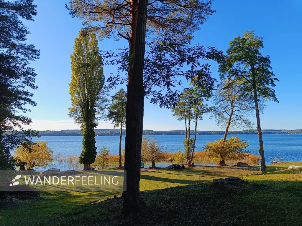 202610190-19 - Scharmützelsee bei Diensdorf, Seenland Oder-Spree, Brandenburg, Deutschland