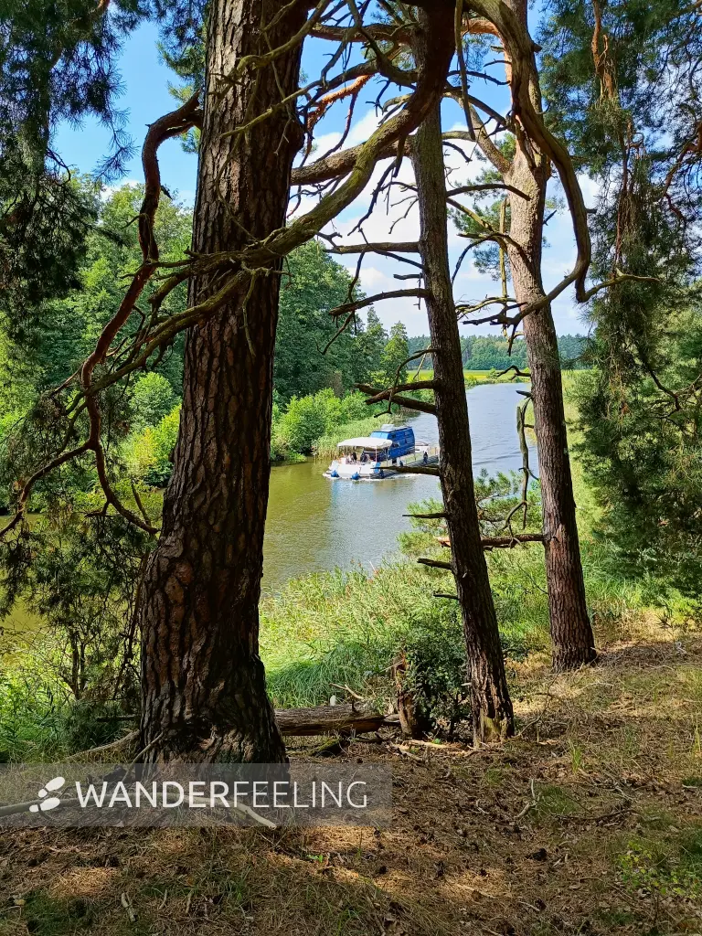 202508160-09 - Schiff auf der Havel in der Kleinen Schorfheide, Uckermark, Brandenburg, Deutschland