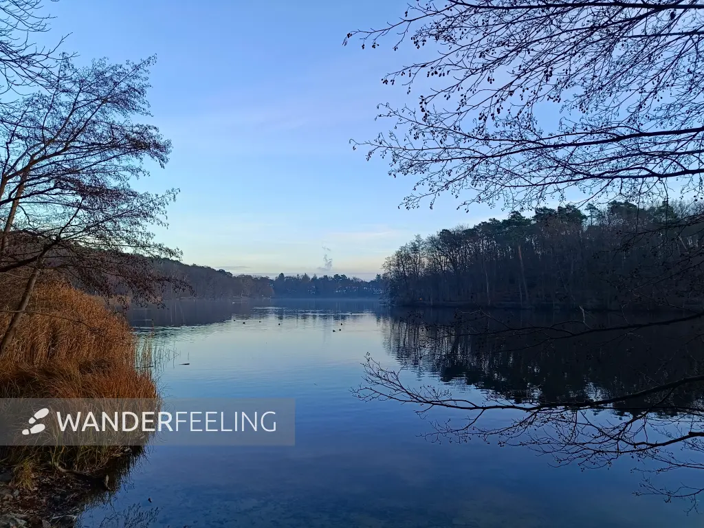 202512200-03 - Schlachtensee, Berlin, Deutschland