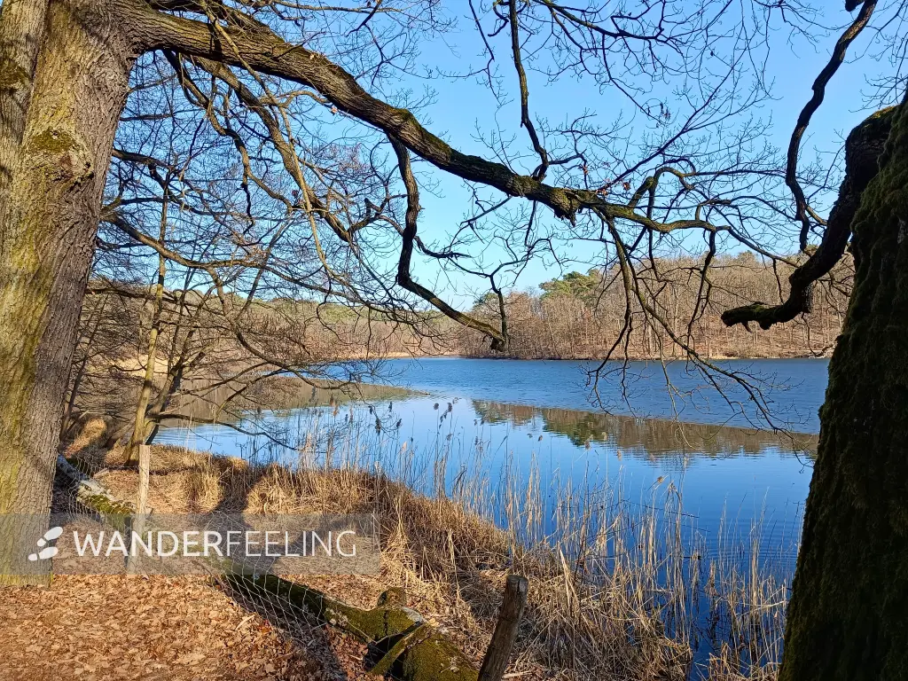 202603070-42 - Schlachtensee, Berlin, Deutschland