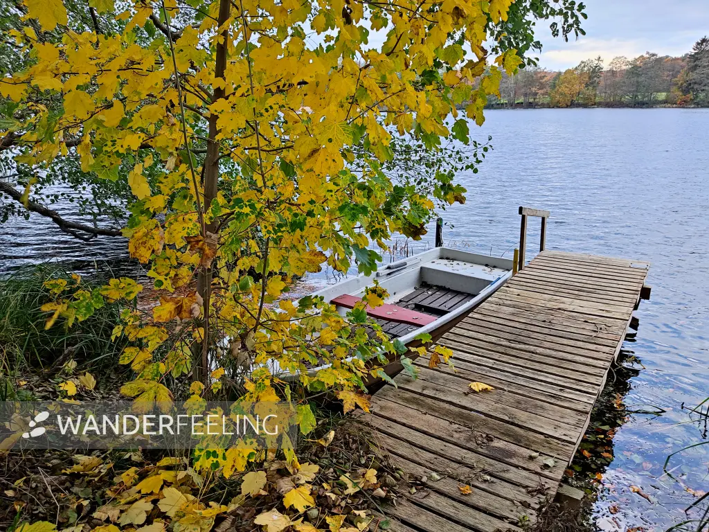 202311060-46 - Schliesersee bei Carpin, Mecklenburgische Seenplatte, Mecklenburg-Vorpommern, Deutschland